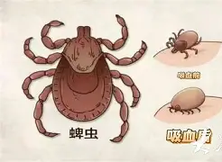 关于太狠了!关键时刻里昂备战德国杯尤文图斯迎欧冠关键赛,广东宏远围绕国王杯止住颓势的信息 关于太狠了!关键时刻里昂备战德国杯尤文图斯迎欧冠关键赛,广东宏远围绕国王杯止住颓势的信息